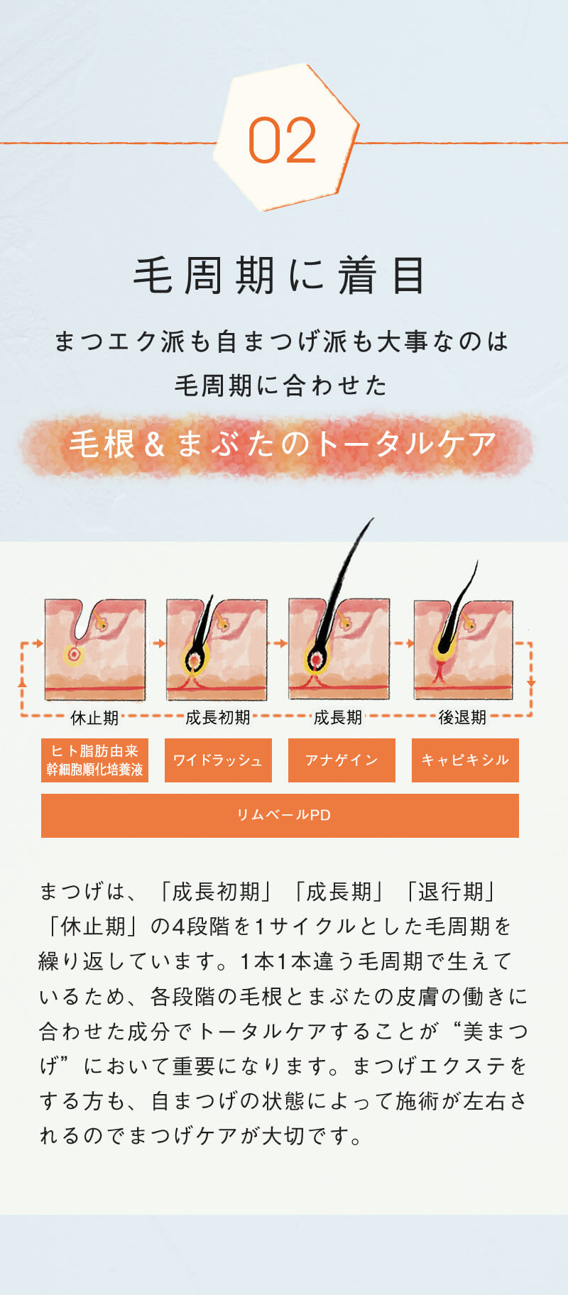 ラッシュオーセント まゆげ美容液