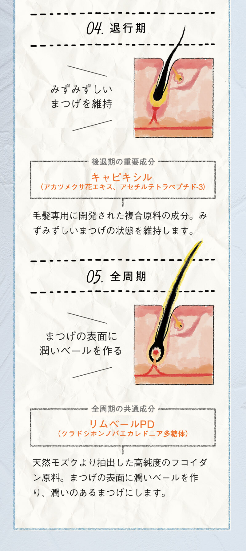 ラッシュオーセント まゆげ美容液